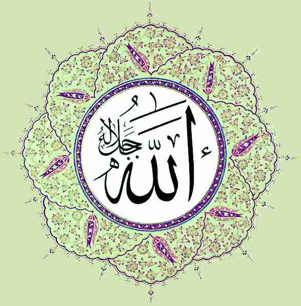 تنزيل من حكيم حميد