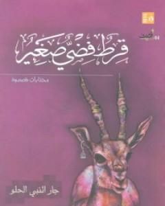 كتاب قرط فضي صغير لـ 