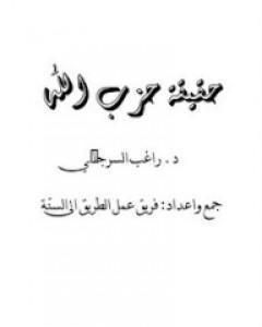 كتاب حقيقة حزب الله لـ راغب السرجاني