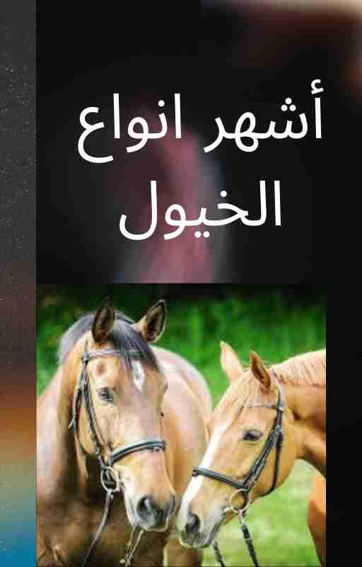 كتاب أشهر أنواع الخيول لـ 