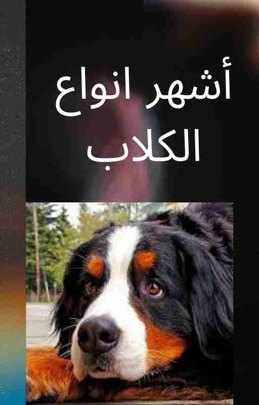 كتاب أشهر أنواع الكلاب لـ 