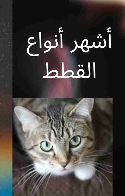 كتاب أشهر أنواع القطط لـ 