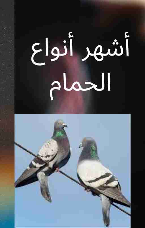 كتاب أشهر انواع الحمام لـ 