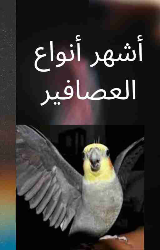كتاب أشهر انواع العصافير لـ 
