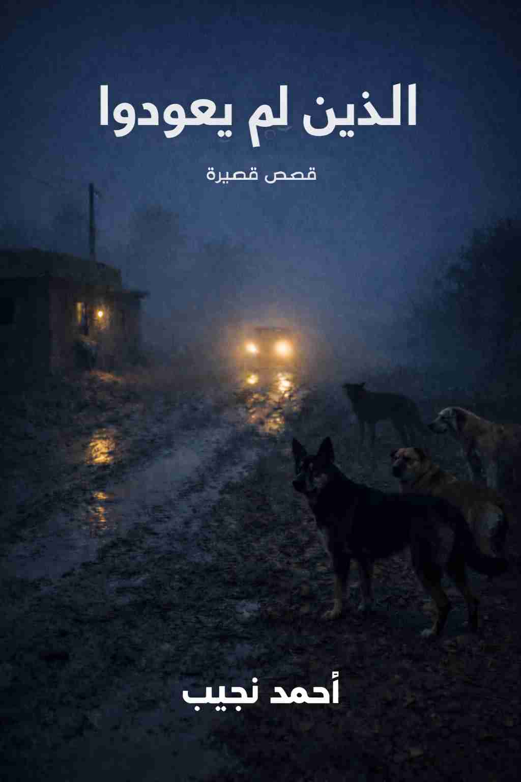 رواية الذين لم يعودوا لـ 